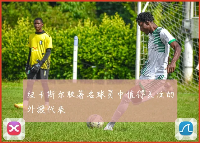 纽卡斯尔联著名球员中值得关注的外援代表