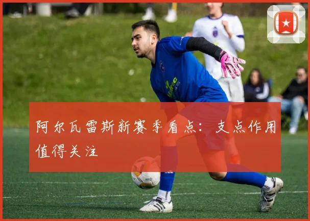 阿尔瓦雷斯新赛季看点：支点作用值得关注